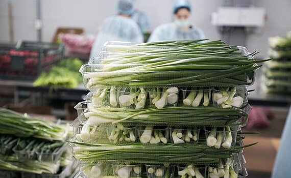 Зачем Татарстану пищевые промышленные парки?