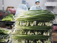 Зачем Татарстану пищевые промышленные парки?