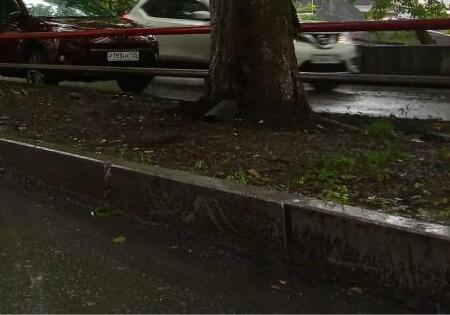 С дождей и гроз начнется следующая неделя в Приморье