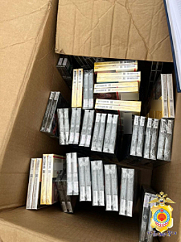 Полицейскими Калмыкии пресечен факт незаконного хранения и реализации немаркированной табачной продукции в крупном размере