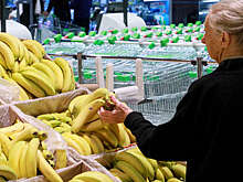 Специалисты объяснили, почему в разных регионах России так отличаются цены на бананы