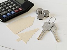 Эксперт по недвижимости негативно оценил программу ипотеки без первоначального взноса