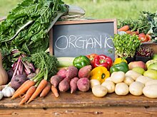 Что ждать от нового закона "Об органической продукции"?