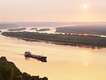Волгу не трожь! Голодные казахстанские волки хотят испить русской водицы