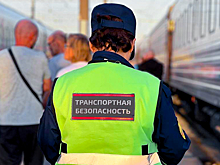 На Дону транспортные полицейские сняли с поезда пассажира-дебошира