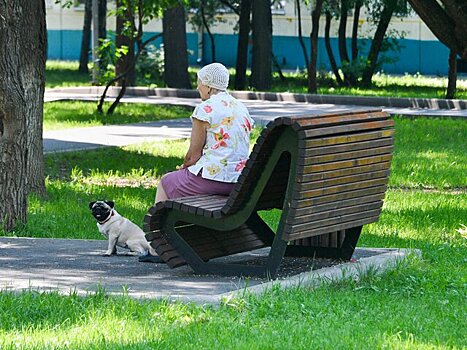 Ветеринар Руденко: теплое время года является опасным для мопсов и бульдогов