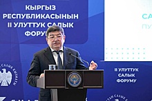 Налоги в Кыргызстане назвали кругом добра