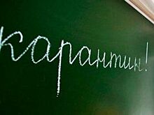 Детей в двух школах Ханты-Мансийска перевели на дистанционное обучение из-за пневмонии