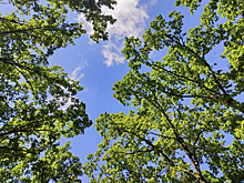 Нина Посашкова