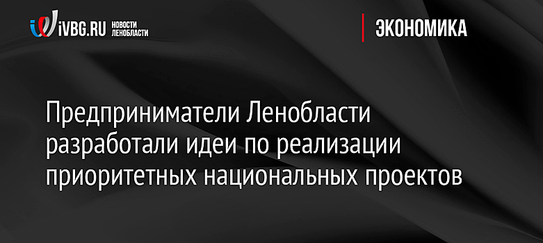 Предприниматели Ленобласти разработали идеи по реализации приоритетных национальных проектов