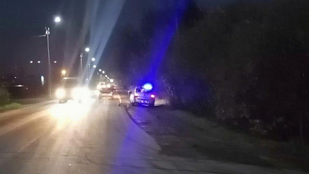 Иномарка сбила пьяного «бегуна» на Вологодчине