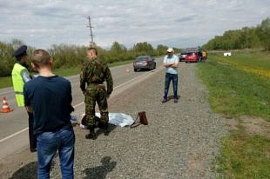 На трассе «Барнаул-Рубцовск» насмерть сбили пешехода
