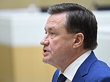 Сенатор Рябухин предложил депортировать иностранцев за контрафакт алкоголя