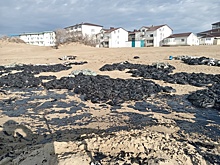 Куряне участвуют в ликвидации последствий разлива мазута в Анапе