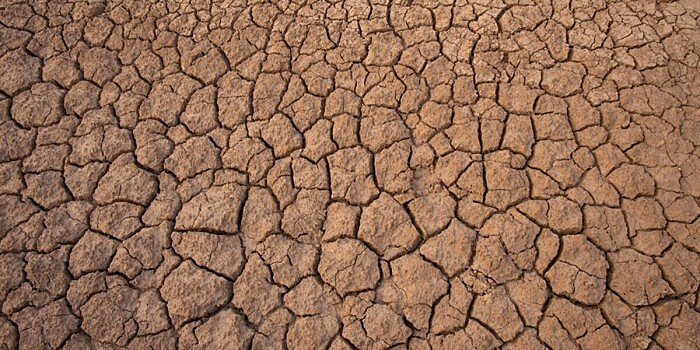Жители Испании и Кении страдают от последствий сильнейшей засухи