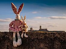 Редакция «АиФ-СК» объявляет сбор подарков для онкобольных детей