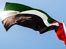 Военнослужащие ОАЭ покинули территорию Йемена