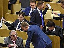 ЛДПР подкрепила запрос предложением