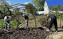 Курские волонтёры помогли пожилому пенсионеру вскопать огород