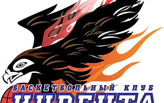 Курская «Инвента-Фарм» дважды уступила БК «Шахты»