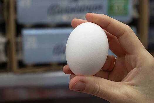 Таинственной судьбе импортных яиц в России нашли объяснение