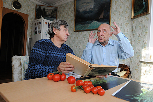До восьми урожаев в год: как сделать теплицы на балконе