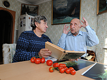 До восьми урожаев в год: как сделать теплицы на балконе
