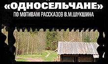 Постановку по рассказам Шукшина представят на Красноармейской