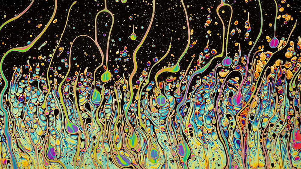 Иллюзия. «Мыльный пузырь существует всего несколько секунд, прежде чем он лопнет. Эта фотография не только изображает эфемерную жизнь обычного физического явления, но также показывает самые разнообразные цвета и завораживающие узоры».