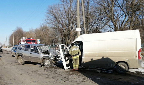 МВД опубликовало фото лобового столкновения Chevrolet Niva с микроавтобусом в Воронежской области