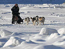 Вышедшая из берегов река затопила питомник ездовых собак на Камчатке