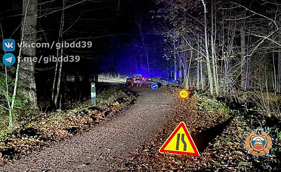 В Нестеровском районе легковушка выскочила с поворота в дерево, водителя и пассажира увезли в больницу