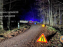 В Нестеровском районе легковушка выскочила с поворота в дерево, водителя и пассажира увезли в больницу