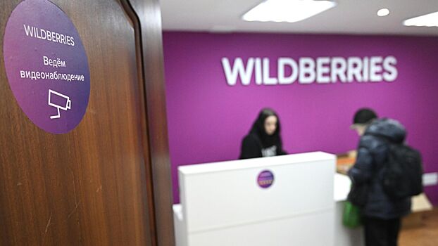 Чистая прибыль Wildberries за 2024 год выросла в 3,5 раза