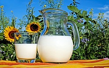 Молочный концерн Kärntner Milch рассматривает запрет глифосата