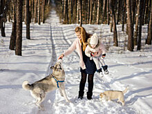 Ученые "научили" растение удалять из воздуха хлороформ и бензол