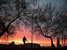 Риски пыльцевых бурь в Москве оценили