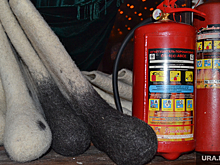 Школьник из ХМАО получил медаль МЧС за то, что потушил пожар