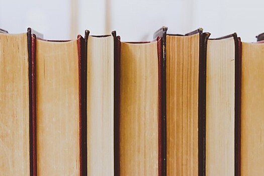 Храм св. князя Димитрия Донского в Северном Бутове приглашает на онлайн-занятия по подготовке к ОГЭ по русскому языку