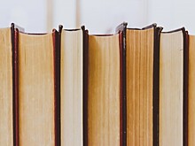 Храм св. князя Димитрия Донского в Северном Бутове приглашает на онлайн-занятия по подготовке к ОГЭ по русскому языку