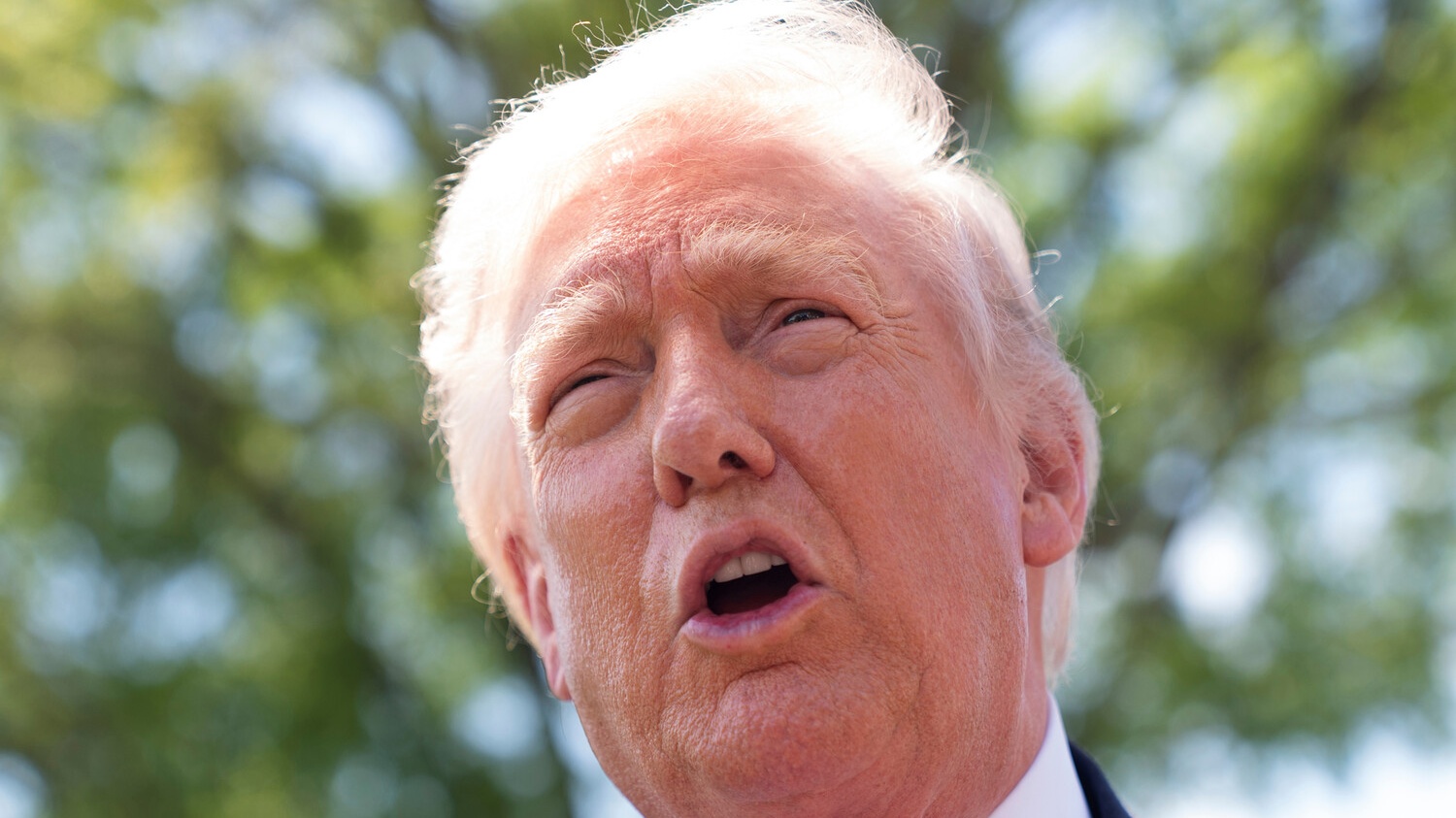 ������&nbsp; �������� ⠫������ ������� ������������ ����� ������ ������� �����