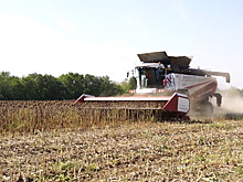 Беспилотный комбайн: в Ростовской области автоматизировали сбор урожая