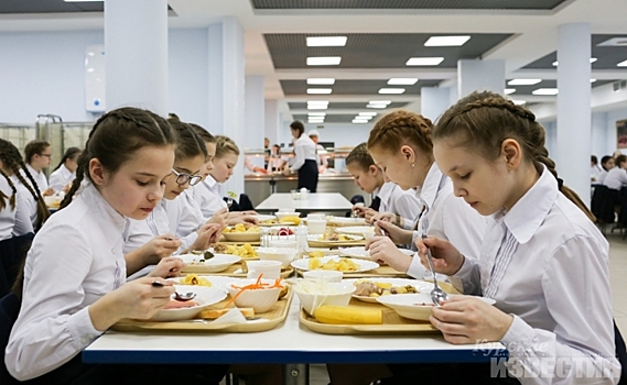 В Курской области запустят горячую линию по вопросам школьного питания