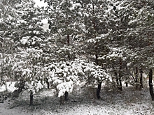 В Омской области ожидается трехдневный снегопад