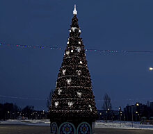 В парке «Центральный» Балакова установили новогоднюю ель