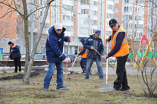 Специалисты Москвы и Петербурга обменяются опытом по уборке городов