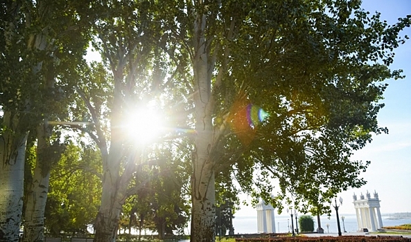 Как волгоградцам выжить в самоизоляции