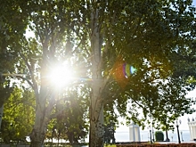 Как волгоградцам выжить в самоизоляции