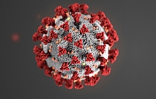В Югре за сутки выявлено 205 новых носителей коронавируса