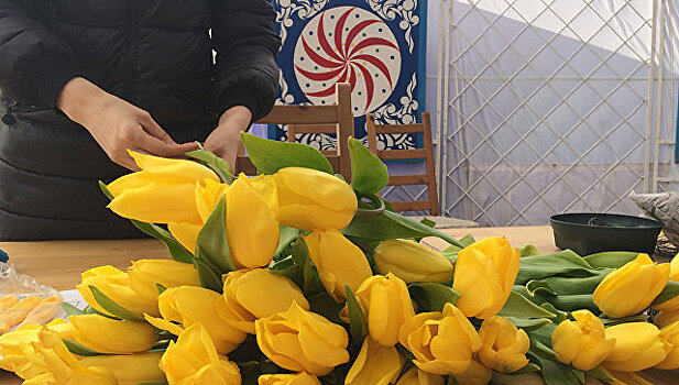 Фестиваль тюльпанов в Калмыкии посетили более десяти тысяч человек